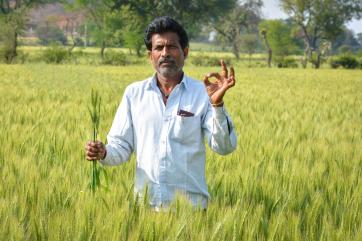 Индия решила отобрать у России статус главного экспортера пшеницы